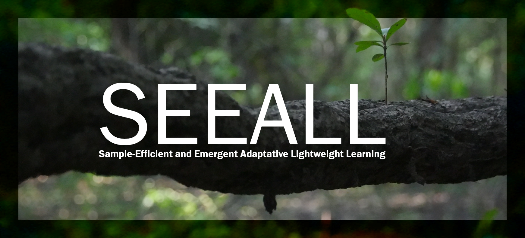 Logo of SEEALL group