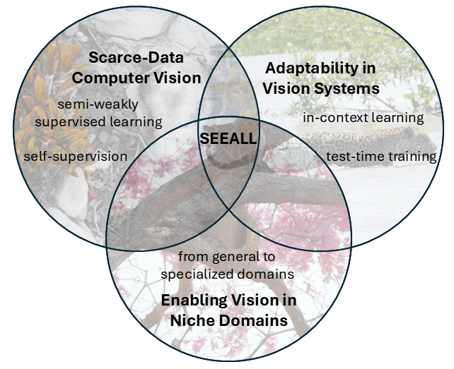 Sample-Efficient and Emergent Adaptative Lightweight Learning group as the intersection of Scarce-Data Computer Vision, Adaptability in Vision Systems, and Enabling Vision in Niche Domains.